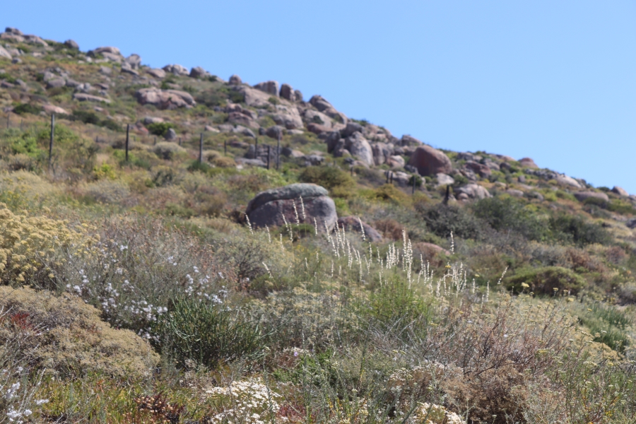 0 Bedroom Property for Sale in St Helena Views Western Cape